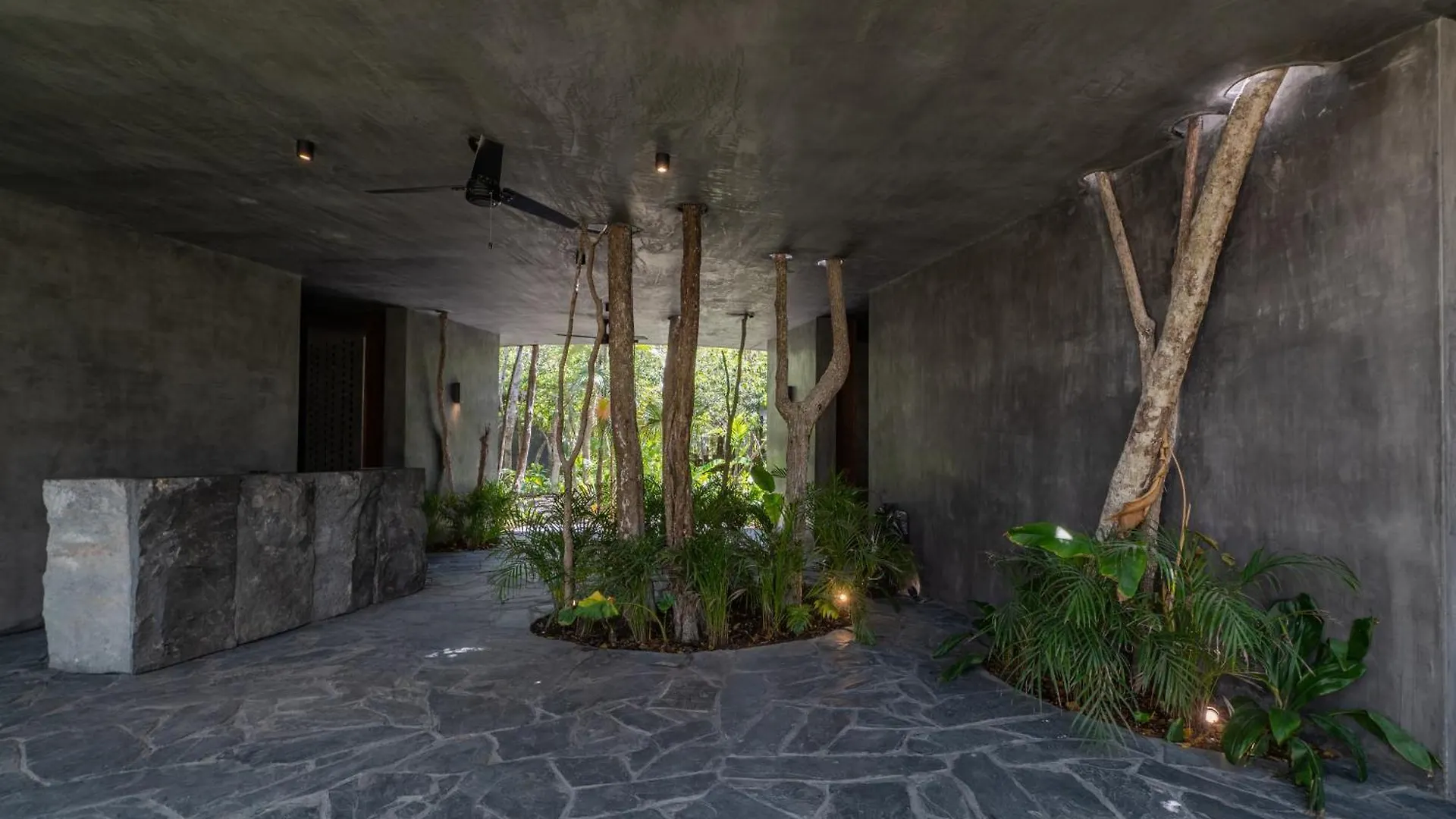 Apartment 4Br Beautiful Private Condo In Tulum! Mexico